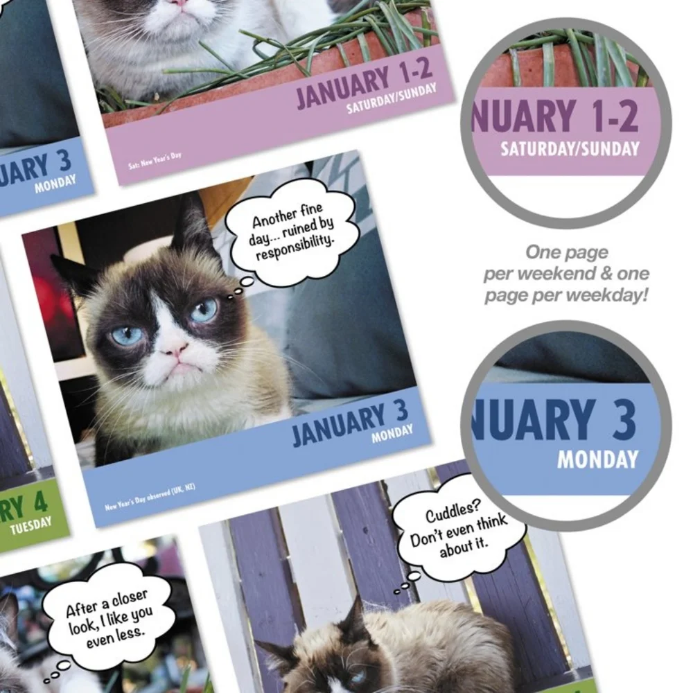 Grumpy cat 2022 calendar